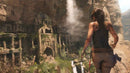 Rise of the Tomb Raider Comemoração de 20 anos - PS4 Mídia Digital