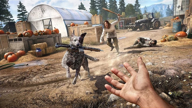 Far Cry 5 - PS4