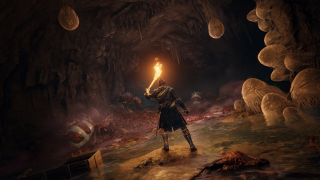 ELDEN RING - PS4