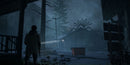 Alan Wake - XBOX 360